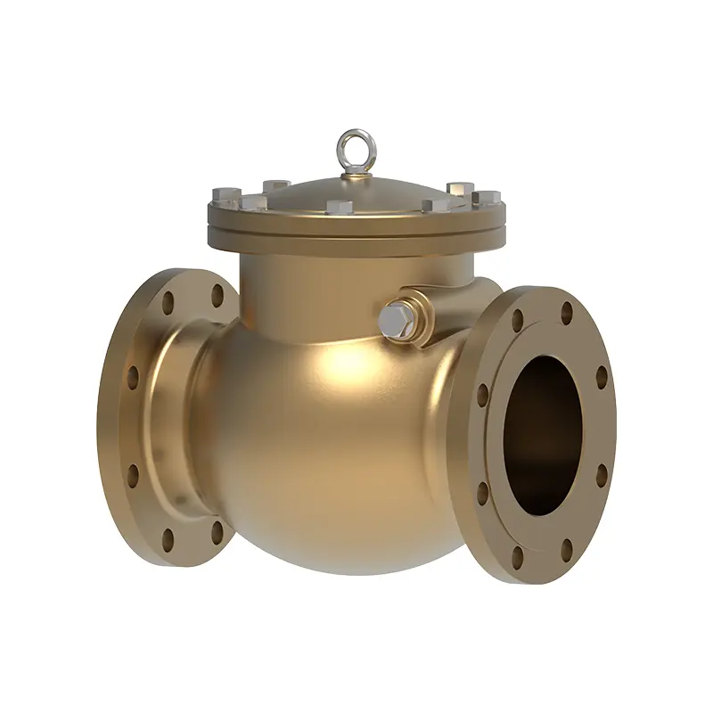 Bronse Swing Check Valve