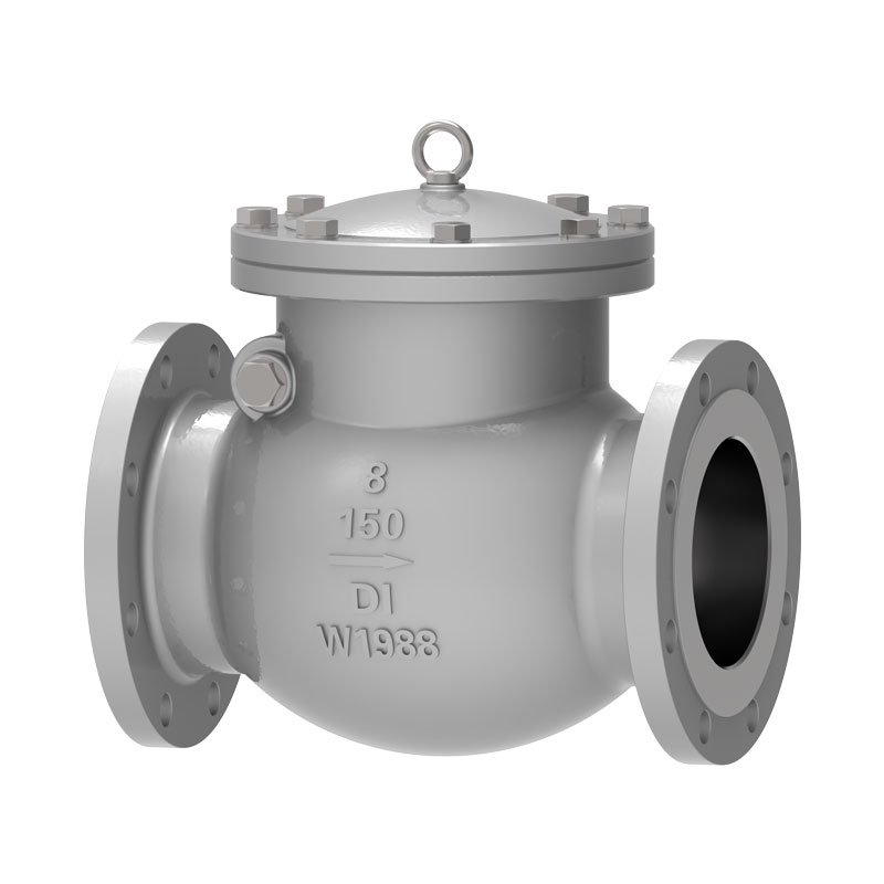 Ductile Iron Check Valve
